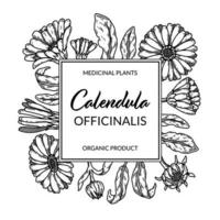 Calendula frame with hand drawn elements. Vector illustration in sketch style. Vintage packaging design