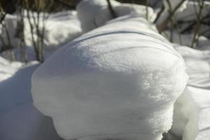 Snow in forest. Thick layer of snow on log. photo