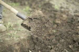 Guy digs soil with shovel. Planting plants in garden. photo