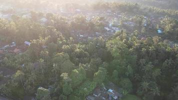 luftaufnahme des morgendlichen sonnenaufgangs im traditionellen dorf ubud bali, indonesien. video