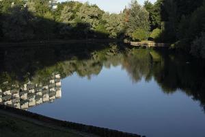 lago en el parque. estanque en la ciudad. superficie del agua foto