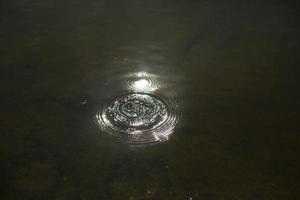 Circles on water. Splashes in lake. Surface of water. photo