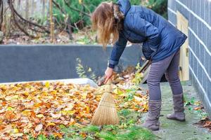 A woman with a broom in her hands sweeps fallen yellow leaves from a green lawn into a pile. photo