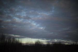 Evening landscape in winter. Depressing view of nature of Russia. photo