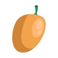 mango fresh fruit vector