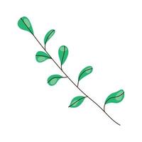 green leafs in branch vector