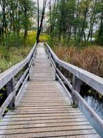 wooden bridge over the river in the forest photo