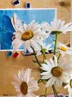 close up of daisy flowers on table and blue background. beautiful flower. photo