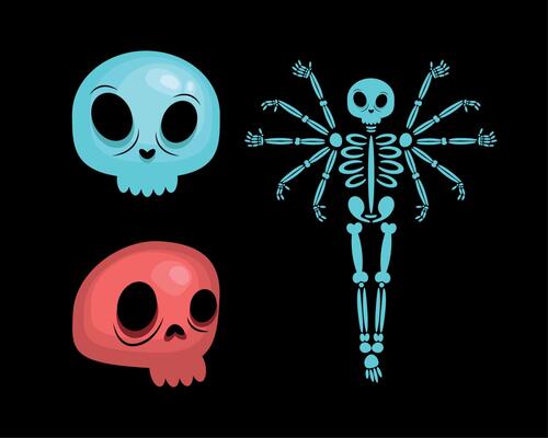 skeleton and skulls