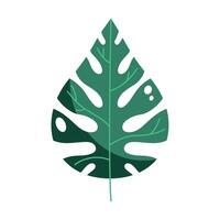 exotic leaf plant vector