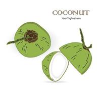 Fresh coconut and cut in half slice. Flat cartoon drawing. Vector isolated on white background.