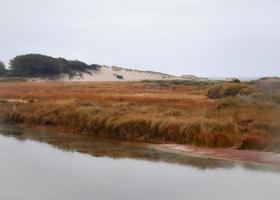 Seaside Landscape with Autumn Colors photo