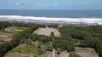 aereo Visualizza di persone vacanza nel parangtrite spiaggia, Indonesia video