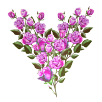 ilustración de rosal png