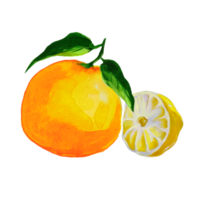 mandarin och citronklyfta akvarellillustration png
