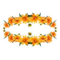 ilustração de camomila de quadro de flores png