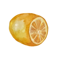 ilustración acuarela de limón png