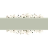 fleur blanche avec bannière verte, bannière de luxe, bannière florale, cadre fleuri. png