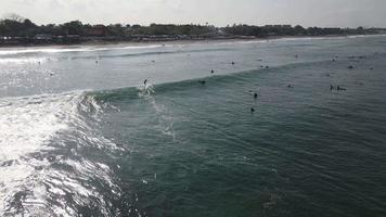 vista aérea de pessoas surfando nas ondas com pranchas de surf quando férias em bali, indonésia. video