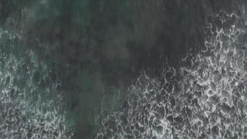 vue aérienne de haut en bas de profiter du surf dans l'océan à bali, indonésie video