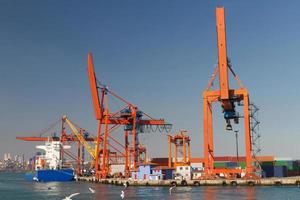 Cranes in Port photo