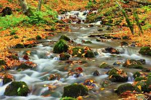 River in Yedigoller photo