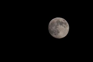 A Full Moon photo