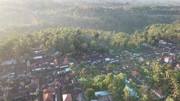 antenne visie van ochtend- zonsopkomst in traditioneel dorp Ubud Bali, Indonesië. video