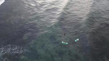 vue aérienne de personnes surfant sur les vagues pendant le coucher du soleil lors de vacances à bali, en indonésie. video