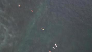 vista aérea de cima para baixo de desfrutar com surf no oceano em bali, indonésia video