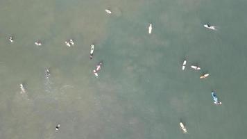 aereo superiore giù Visualizza di godere con fare surf nel il oceano nel Bali, Indonesia video