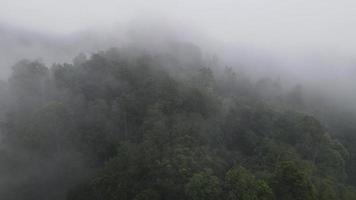 Aerial view of foggy rain forest in near village Indonesia video