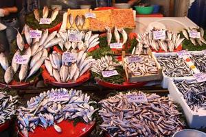 pescador en estambul foto