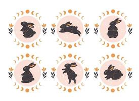 Cute black rabbits collection with astrological, botanical and esoteric elements. Magician rabbit vector