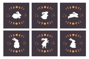 BaCute white bunnies in different poses with astrological, esoteric elements. Magician rabbit. Year of the Rabbit. vector