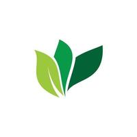 green nature leaf plant logo design vector