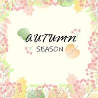 Autumn season greeting text template background with colorful leaves on the fall season. vector