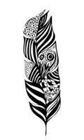 Feather in black and white with patterns of different patterns vector