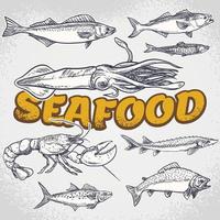 Vector hand drawn seafood restaurant illustration. Vintage style. Retro sketch background. Template