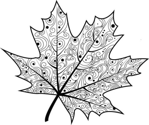 Black and white illustration of a maple leaf. Autumn illustration.An idea for a logo, fashion illustrations, magazines, printing on clothes, advertising, tattoo sketch or mehendi.