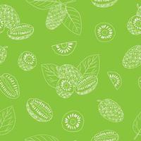 noni fruit seamless pattern hand drawn doodle. , minimalism, scandinavian, monochrome, sketch. wallpaper, textile wrapping paper background superfood food vector