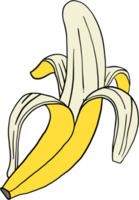 oodle Freihandskizze Zeichnung von Bananenfrüchten. png