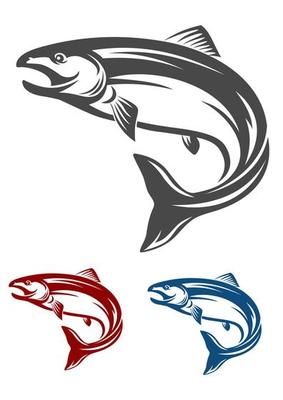 Salmon fish character