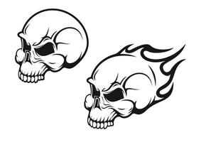 Cartoon skulls tattoo vector