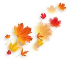 Autumn Falling Leaves Decoration Element