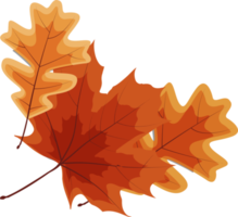 elemento de decoración de hojas caídas de otoño png