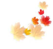 elemento de decoração de folhas caindo de outono png