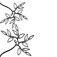 hand drawn leaf background in doodle style vector