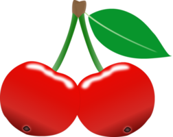 Red cherry illustration with green leaf on transparent background. png