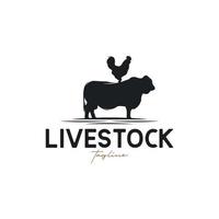 Livestock vintage logo with cow and chicken illustration logo design vector